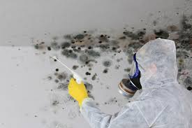 Best Mold Odor Removal Services  in Sturgeon, MO